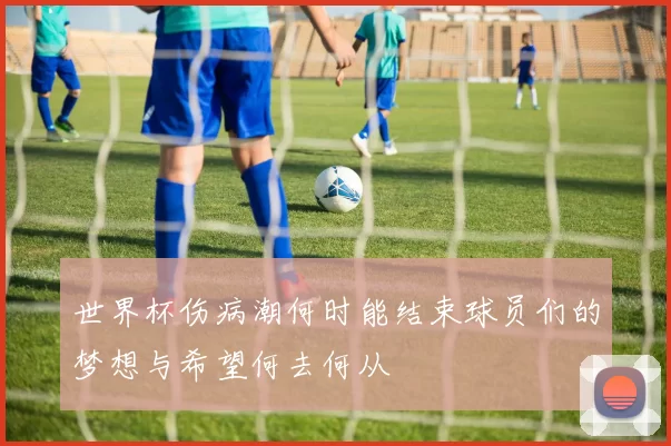 世界杯伤病潮何时能结束球员们的梦想与希望何去何从